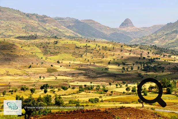 Ces régions d'altitude au climat plus frais et plus humide que le reste du pays sont propices à l'agriculture, et contiennent les sources de nombreux cours d'eau ce qui leur vaut le nom de “toit de l'Afrique“. C'est en traversant ces plateaux que l'on se rend compte de l'importance de l'agriculture en Éthiopie. À perte de vue, s'étend des champs de riz, de blé, de maïs et d'orge formant un superbe patchwork.