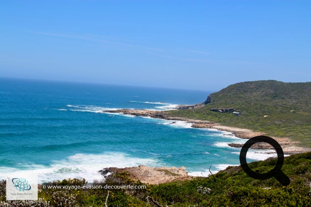 Surnommée Plet, cette station balnéaire est située sur la Garden Route à 210 km à l’Ouest de Port Elizabeth dans la province du Cap. 