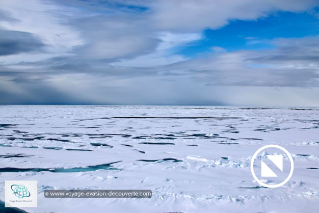 Progressivement le bateau ralentissait. Nous avancions prudemment dans cette mer couverte de plaques de glace de plus en plus grandes et de plus en plus denses. Maintenant, le navire pousse, se hisse et éclate, par à-coups, presque continuellement  ces floes de banquise. On sent que le brise-glace commence, par moment, à avoir du mal à avancer. L’élan du navire est brisé, il s’arrête presque devant cette masse avant de repartir comme si de rien n’était. Les deux moteurs du bateau vrombissent et les énormes plaques cèdent sous son poids en s’engloutissant en partie sous la coque.  Un vrai combat de titan !