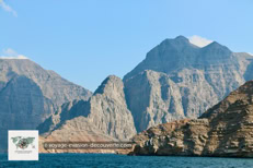 Les fjords de Musandam à Oman