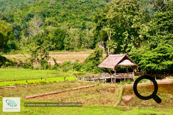Niché au cœur de la campagne laotienne, il est situé à une trentaine de kilomètres au Nord de Luang Prabang, dans le village de Ban Yoi Hai. Ce gîte propose une expérience de vie unique au Laos autour de la culture et des traditions locales, mais également d'un tourisme éco-responsable. 