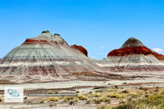 Painted Desert