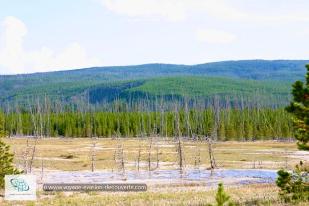 Le parc de Yellowstone est réparti sur plusieurs secteurs ; Old Faithfull Area, Black Sand Basin, Upper Geyser Basin, Midway Geyser Basin et Lower Geyser Basin. Dans tous ces secteurs, vous pourrez admirer la plus grande concentration des geysers au monde ainsi que de magnifiques bassins de couleurs différentes.
