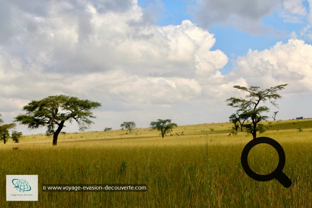 Ce sanctuaire est une zone protégée de la région d'Oromia, dédiée en particulier à la protection du bubale de Swayne. Couvrant 58 kilomètres carrés, la réserve est située au Nord-Ouest du lac Awasa.  Cette minuscule réserve a été créé uniquement pour protéger une espèce d'antilope endémique à la région menacée d'extinction. 