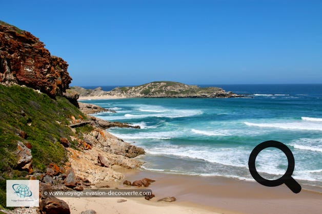 Située à la sortie de Plettenberg Bay, c’est un lieu idéal de randonnée. Cette péninsule est une réserve naturelle et maritime ainsi qu'un monument national. Longue de 9 km, elle s’avance dans l’océan Indien telle une admirable figure de proue plantée au-dessus des flots. Cette magnifique réserve entre mer turquoise, dunes de sable beige et montagne recouverte de petits arbustes, vous offrira d’incroyables balades entre pontons aménagés à flanc de colline, escaliers de bois rocambolesques et rochers glissants dans un paysage à couper le souffle.