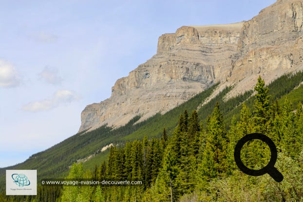 La route 93 est longue de 229 km. Elle commence à proximité de Lake Louise et monte jusqu'à la ville de Jasper. Elle est reconnue comme l’une des 10 plus belles routes sur terre.