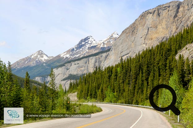 La route 93 est longue de 229 km. Elle commence à proximité de Lake Louise et monte jusqu'à la ville de Jasper. Elle est reconnue comme l’une des 10 plus belles routes sur terre.