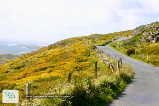 Milieu naturel préservé, l’Irlande est un pays rural à faible densité humaine. Elle est restée longtemps pauvre et à l’écart de toute industrialisation ou agriculture moderne intensive, ce qui a laissé  intact la plupart de ses sites naturels. Elle est aussi marquée par l’histoire, ses légendes et ses traditions celtes encore très présentes. Visiter ce beau pays, c’est faire une balade Irlandaise alliant nature, culture et héritage durant laquelle nous nous imprégnons de la résonance mythique de ses paysages, embellis par les différents tons de vert laissés par la pluie une fois le soleil revenu. 