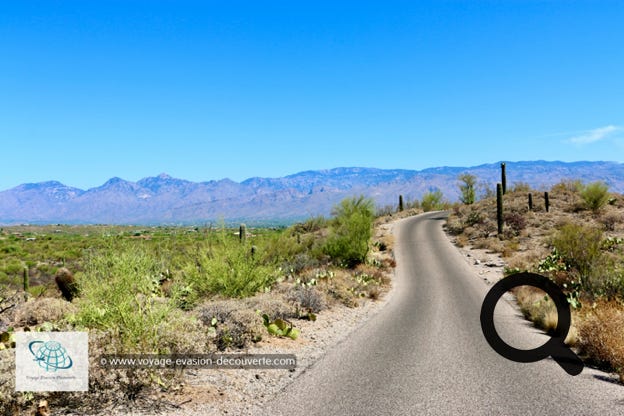 Situé dans au Sud de l'Arizona près du désert de Sonora et d'une superficie de 370 km2, le parc est reconnu pour ses nombreux  cactus géants, dont le plus célèbre est le Saguaro, le symbole universel de l'Ouest américain. Le parc se compose de plaines désertiques, mais aussi de zones montagneuses où des espèces moins résistantes à l'aridité parviennent à se développer, grâce au climat plus humide en altitude.