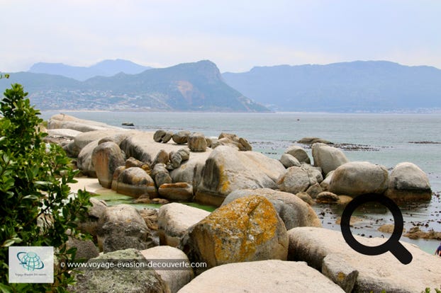 Cette ville est située à 36 km au Sud-Est de la ville du Cap. Traversée par la route M4, elle est la dernière ville de False Bay avant l'entrée du parc national du Cap de Bonne Espérance. Elle est également un petit port de commerce et de villégiature ainsi qu'une station balnéaire et touristique.