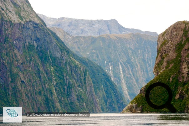 Milford Sound mérite bien son titre de lieu le plus incontournable de Nouvelle-Zélande. Cette expérience est à faire absolument, même si nous avons eu la malchance d’avoir un ciel très couvert, la contemplation de ces fjords est exceptionnelle. Les paysages y sont splendides et réellement bluffants.