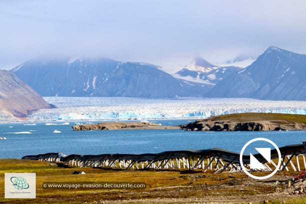 Elle est l'une des quatre agglomérations habitées de l'archipel et la localité la plus au Nord du monde, située sur la péninsule de Brøgger sur la rive Sud du Kongsfjorden. La population saisonnière peut varier entre 30 et 150 habitants, majoritairement issue de la communauté scientifique.