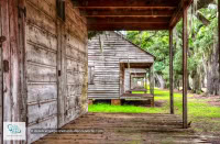Oak Alley Plantation à la Nouvelle-Orléans