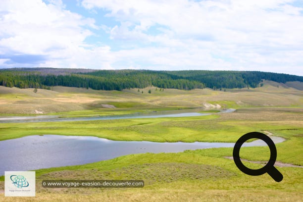 Après deux jours fantastiques à la découverte de ce merveilleux parc de Yellowstone, nous avons pris la route US 14 pour la ville de Cody qui est seulement à 125 kilomètres. Le paysage était magnifique.  