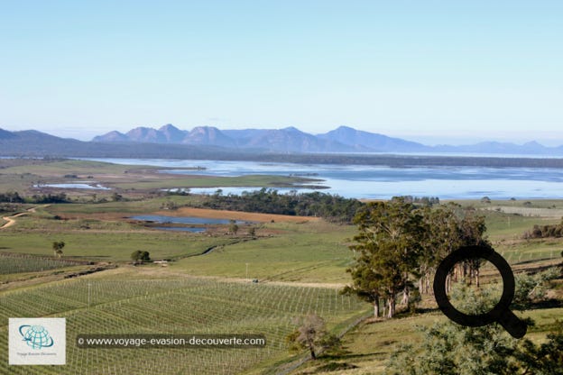 La Tasmanie, un état insulaire isolé au large de la côte sud de l'Australie, est réputée pour ses vastes régions sauvages et accidentées, largement protégées à l'intérieur de parcs et de réserves. L'île est entourée par les océans Indien et Pacifique et est séparée de la partie continentale de l'Australie par le détroit de Bass. Au sud-est de la Tasmanie, les côtes sont découpées. Le relief est montagneux, modelé par les glaciers et très accidenté. La majeure partie de la Tasmanie est densément boisée, avec le parc national Southwest et les régions environnantes qui possèdent l'une des dernières forêts tempérées humides de l'hémisphère Sud. 