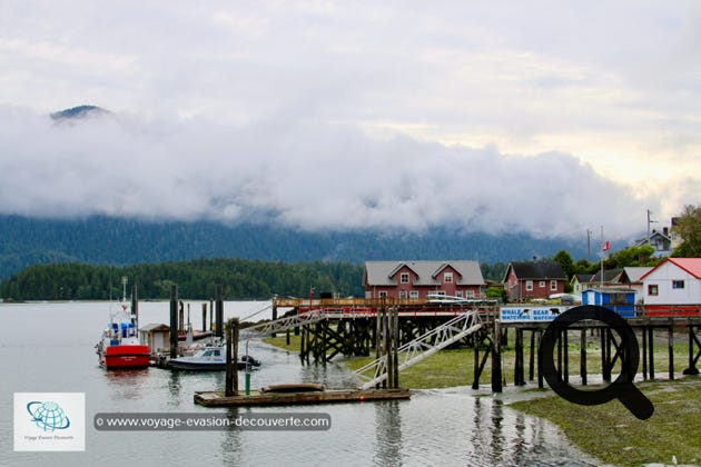 Cette petite ville est située sur la pointe de la péninsule d'Esowista. Tofino est une station touristique réputée pour la qualité de ses plages qui attirent les surfeurs l'été, pour la richesse de son environnement marin et pour les spectaculaires forêts tempérées humides qui l'entourent. Elle est aussi connue pour ses impressionnants orages sur l'eau en hiver. 