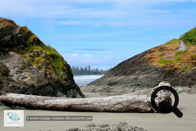 C’est une belle plage idéale pour de longues promenades au bord de l’eau avec une vue superbe sur la côte boisée. Elle se trouve juste au Sud de la ville de Tofino. Elle est divisée en deux sections principales, Chesterman Beach South ou South Chestie comme l'appellent les habitants et Chesterman Beach North.