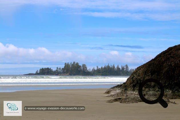 C’est une belle plage idéale pour de longues promenades au bord de l’eau avec une vue superbe sur la côte boisée. Elle se trouve juste au Sud de la ville de Tofino. Elle est divisée en deux sections principales, Chesterman Beach South ou South Chestie comme l'appellent les habitants et Chesterman Beach North.