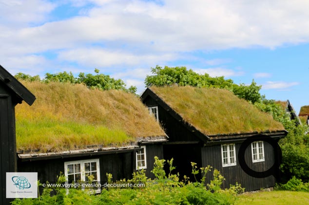 Elle est connue pour sa vieille ville, Tinganes, qui regorge de maisons en bois avec des toits en herbe sur une petite péninsule. À proximité se trouve la cathédrale de Tórshavn, reconstruite au XIXe siècle. Des boutiques locales bordent la principale artère commerciale, Niels Finsens gøta.
