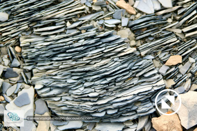 Lors de notre randonnée sur l’île nous marchions sur un tapis de roches éclatées en milliard de petites plaques qui crépitaient sous nos pieds.  Les conditions sont tellement extrêmes qu’avec les différences de températures en été et en hiver, les roches même les plus dures ne résistent pas à l’effet de la cryoclastie. 