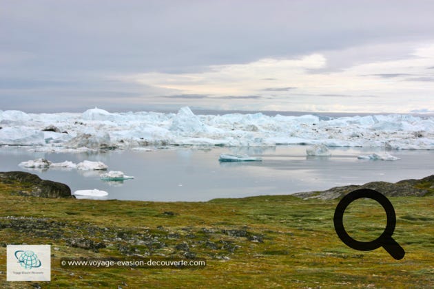 Cet énorme glacier côtier de 10 km de large est l’un des plus grand, avec ses 110 000 km², et le plus productifs en iceberg du Groenland. Il avance jusqu’à 20 m par jour, libérant des millions de tonnes de glaces. Il produits environ 10% de l’ensemble des icebergs du Groenland.