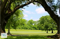 Oak Alley Plantation à la Nouvelle-Orléans