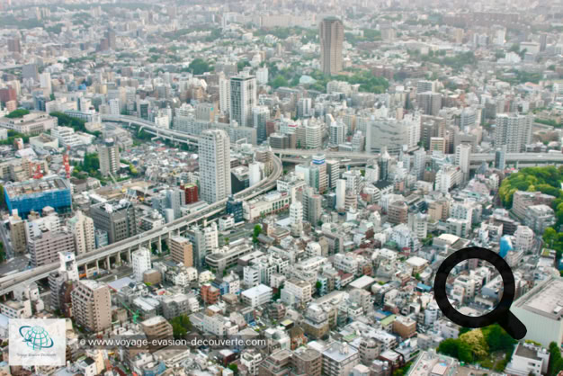 Tōkyō est la capitale du Japon. C’est un mélange de modernisme, de traditions et de folie. Vous y découvrirez un mixe, de gratte-ciels à perte de vue, le calmes des temples anciens et la frénésie d’une ville qui ne dort jamais.  Idéal pour commencer un voyage au pays nippon et s’immerger dans le grand bain de la culture japonaise et vous en mettre plein les yeux. 