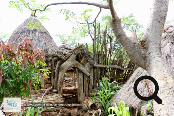 Dans la vallée du rift, à environ 50 km du lac Chamo, les villages Konso se nichent entre 1 500 et 2 000 m d'altitude dans un écrin de nature. Après avoir traversé les plaines arides de l'Omo le changement est surprenant.