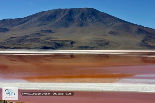 La Bolivie est un pays de superlatifs : Cette nation enclavée, la plus haute, la plus isolée et la plus accidentée de l’hémisphère Sud, connait des conditions climatiques extrêmes : froid glacial, vents violents et chaleur étouffante. Elle comprend des régions parmi les plus désertiques, les plus salées et les plus marécageuses du globe. 