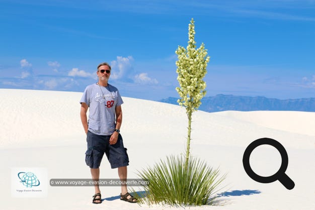 D'une altitude de 1 200 m et entouré de montagnes le White Sand est situé au cœur du bassin de Tularosa. Il abrite le plus grand désert de gypse du monde. C'est l'une des plus belles merveilles naturelles de la région. Le sable poussé par les vents forme des dunes d'une blancheur immaculée qui scintillent avec les rayons du soleil.  Le parc couvre environ 590 km2 et ce champ de dunes de gypse est le plus grand du genre sur Terre.