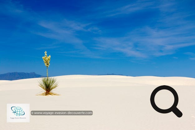 D'une altitude de 1 200 m et entouré de montagnes le White Sand est situé au cœur du bassin de Tularosa. Il abrite le plus grand désert de gypse du monde. C'est l'une des plus belles merveilles naturelles de la région. Le sable poussé par les vents forme des dunes d'une blancheur immaculée qui scintillent avec les rayons du soleil.  Le parc couvre environ 590 km2 et ce champ de dunes de gypse est le plus grand du genre sur Terre.