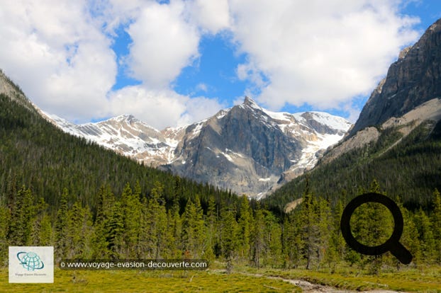 Situé dans les montagnes Rocheuses, il est bordé au Sud par le parc national de Kootenay et à l’Est par le parc national  de Banff. D'une superficie de 1 313 km², le parc Yoho est le plus petit de quatre parcs contigus avec les parcs nationaux Jasper, Kootenay et Banff.