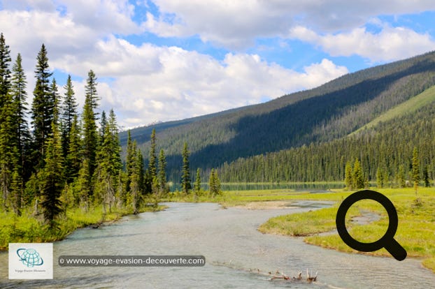 Situé dans les montagnes Rocheuses, il est bordé au Sud par le parc national de Kootenay et à l’Est par le parc national  de Banff. D'une superficie de 1 313 km², le parc Yoho est le plus petit de quatre parcs contigus avec les parcs nationaux Jasper, Kootenay et Banff.