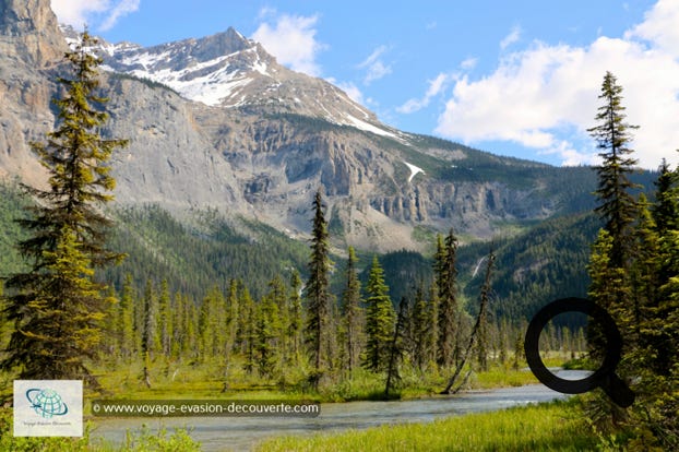 Situé dans les montagnes Rocheuses, il est bordé au Sud par le parc national de Kootenay et à l’Est par le parc national  de Banff. D'une superficie de 1 313 km², le parc Yoho est le plus petit de quatre parcs contigus avec les parcs nationaux Jasper, Kootenay et Banff.