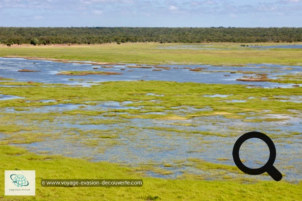 Ce parc national est une immense réserve naturelle bio diversifiée du Territoire du Nord. Englobant des marécages, des rivières et des escarpements en grès, il accueille près de 2 000 espèces végétales et animales, qu'il s'agisse de crocodiles marins, de tortues à dos plat ou d'oiseaux. 