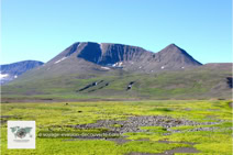 L’île de Disko au Groenland