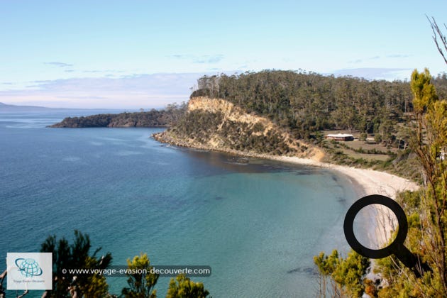 La Tasmanie, un état insulaire isolé au large de la côte sud de l'Australie, est réputée pour ses vastes régions sauvages et accidentées, largement protégées à l'intérieur de parcs et de réserves. L'île est entourée par les océans Indien et Pacifique et est séparée de la partie continentale de l'Australie par le détroit de Bass. Au sud-est de la Tasmanie, les côtes sont découpées. Le relief est montagneux, modelé par les glaciers et très accidenté. La majeure partie de la Tasmanie est densément boisée, avec le parc national Southwest et les régions environnantes qui possèdent l'une des dernières forêts tempérées humides de l'hémisphère Sud. 