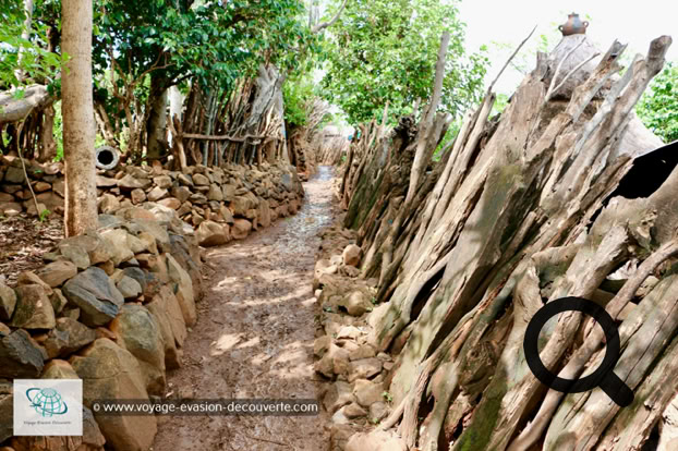 Dans la vallée du rift, à environ 50 km du lac Chamo, les villages Konso se nichent entre 1 500 et 2 000 m d'altitude dans un écrin de nature. Après avoir traversé les plaines arides de l'Omo le changement est surprenant.