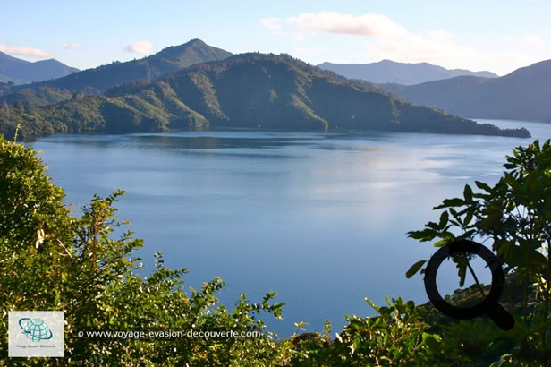 Après deux jours de visite de la région de Rotura, nous sommes partis en direction du lac Taupo. C’est le plus grand lac d’eau douce de la Nouvelle-Zélande et certainement l’un des plus beaux, il couvre une superficie de 619 km².
