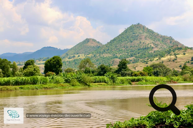 Prenant naissance au lac Tana, en Éthiopie, il forme le Nil lors de sa confluence avec le Nil Blanc à Khartoum, au Soudan. Le Nil Bleu, pourtant plus court, contribue à la majorité du débit du fleuve. 