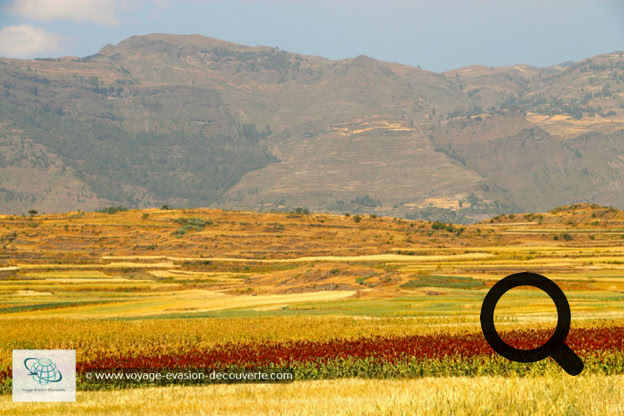 Après avoir passé la ville de Betmera, la celle-ci devient sinueuse, elle monte, descend et serpente jusqu'à atteindre la partie la plus verdoyante de la région du Tigré, Korem. Nous sommes passés près du beau lac de Hashenge, l'un des lacs de cratère d’Éthiopie. Entouré par une multitude de champs cultivés, la vision de ce lac est magnifique.