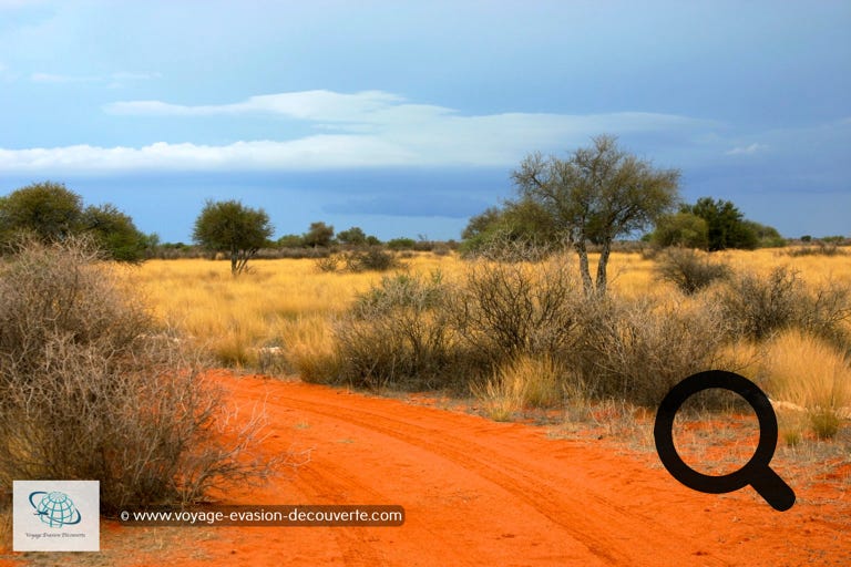 Road trip en Namibie