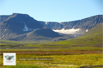 L’île de Disko au Groenland