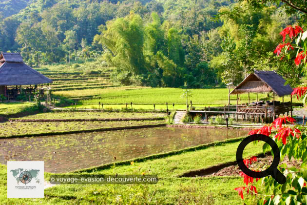 Niché au cœur de la campagne laotienne, il est situé à une trentaine de kilomètres au Nord de Luang Prabang, dans le village de Ban Yoi Hai. Ce gîte propose une expérience de vie unique au Laos autour de la culture et des traditions locales, mais également d'un tourisme éco-responsable. 
