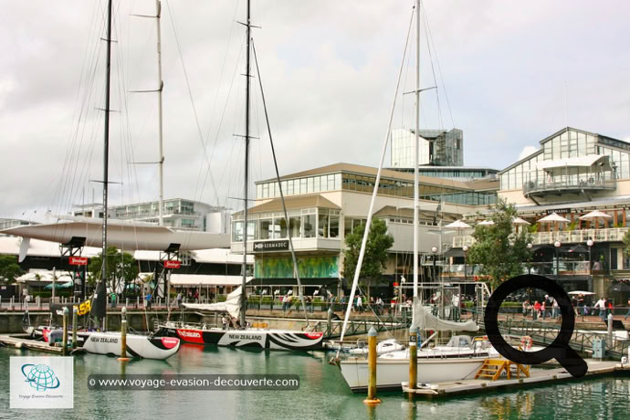 Je vous recommande aussi le quartier de Viaduct Harbour, idéal pour boire  un verre ou se restaurer durant la journée mais aussi en soirée.  Ce quartier, situé à l’Ouest du Central Business District, est l’un des quartiers  les plus agréables de la ville. Son front de mer, piéton, est bordé par de  nombreux cafés et restaurants très sympa offrant de très belles terrasses  avec une vue agréable sur les bateaux du port de plaisance. 