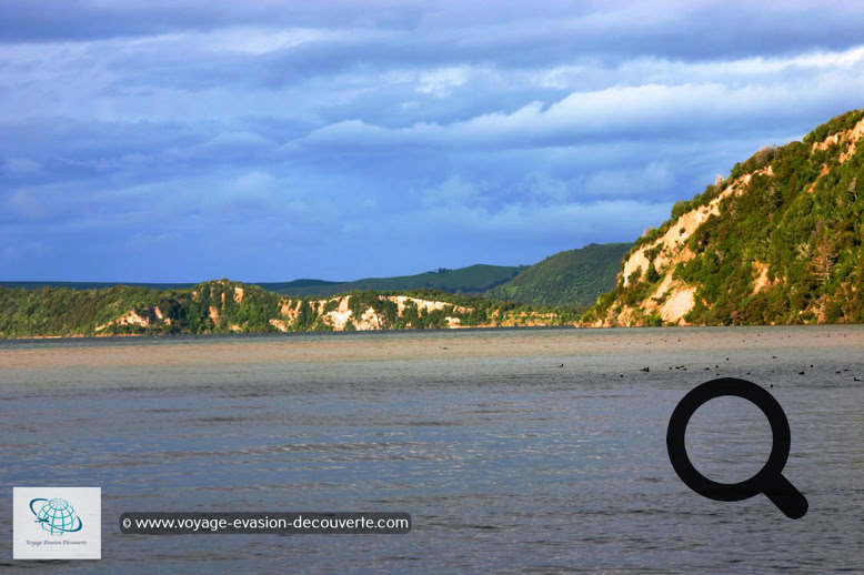 Le grand lac de Rotorua peut être parcouru par la route, le tour entier faisant 41 km. Le lac est le lieu de vie de magnifiques cygnes noirs.