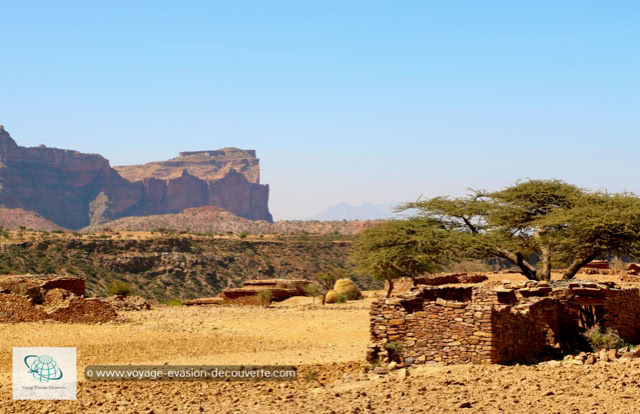 Sur la route, nous avons aperçu en traversant quelques petites villes, des maisons typiques Tigrian, en pierre de sable.